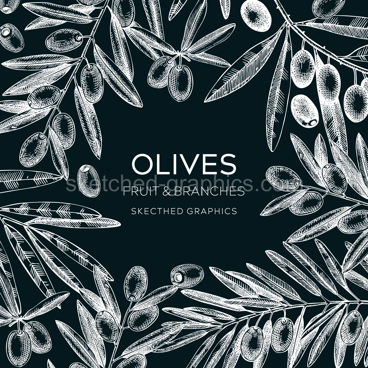 Olives frame design. Olive tree branches sketches. Mediterranean food menu template on chalkboard. Hand-drawn vector illustration. NOT AI generated. Illustration